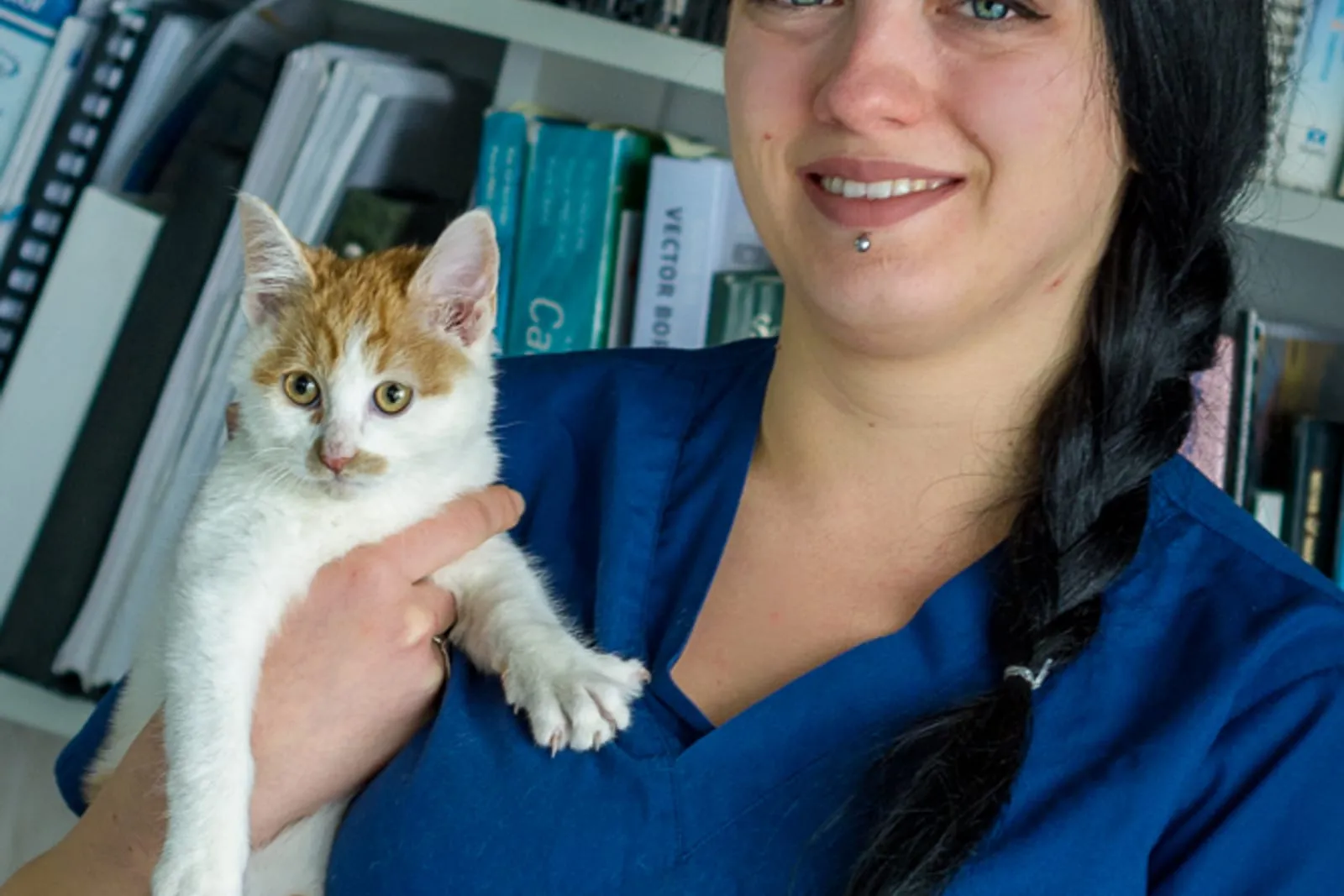 A kitten held by a member of the clinic team.