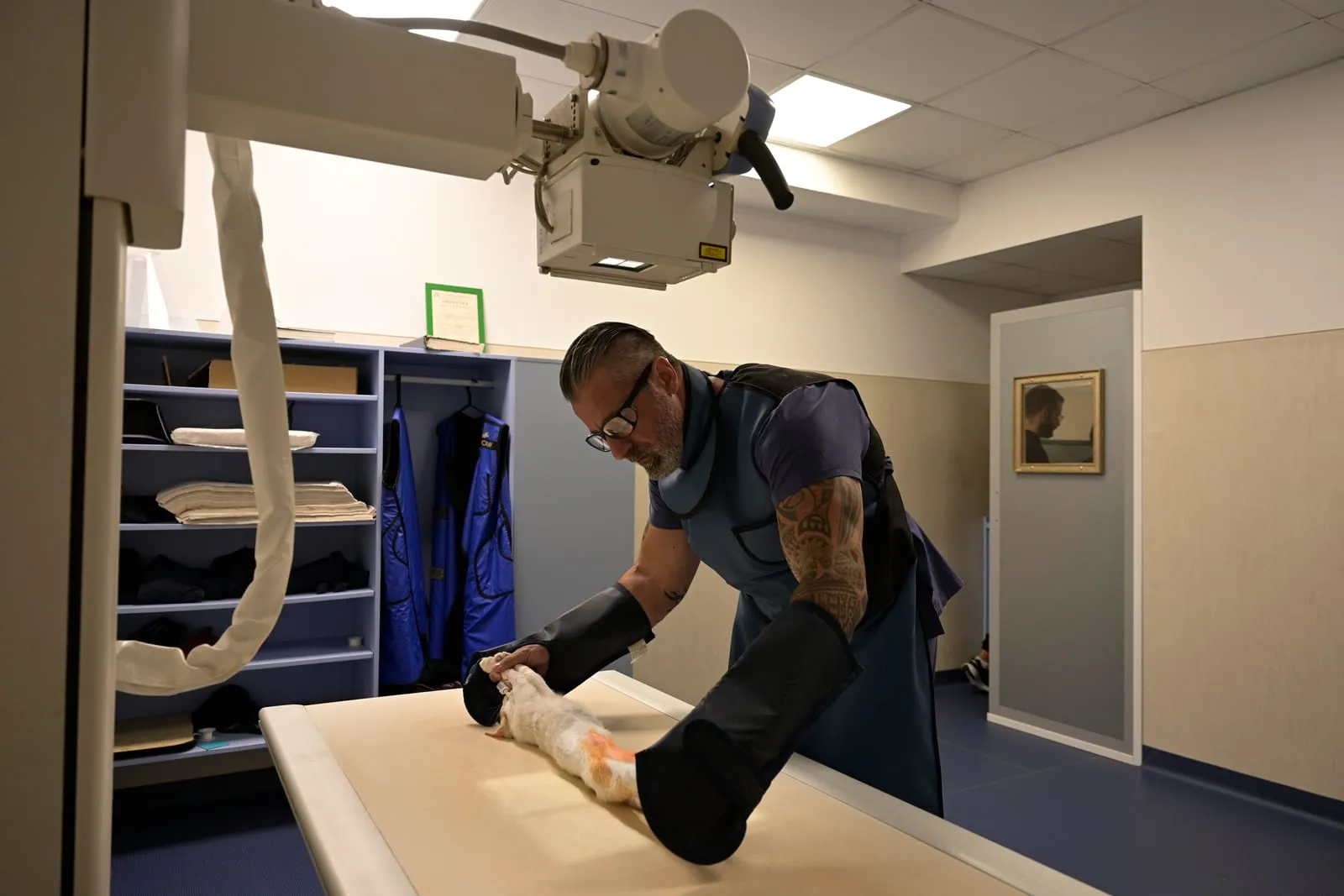 An X-ray examination at the Sofia clinic.