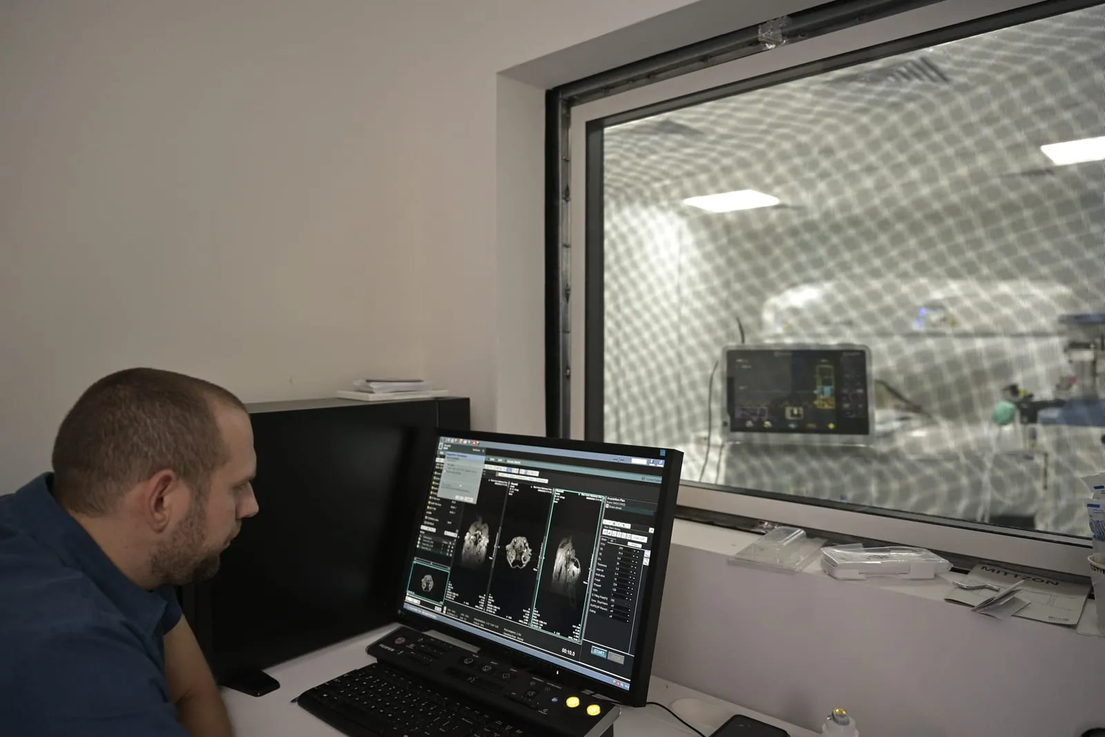 A vet reviewing CT images.